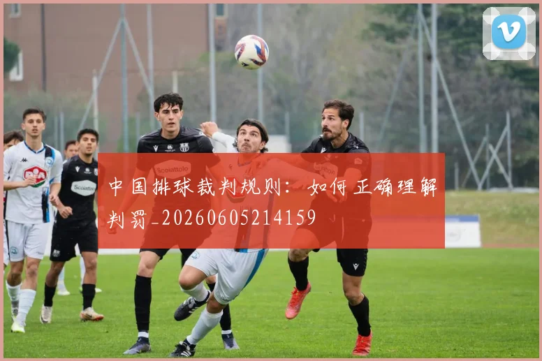 中国排球裁判规则:如何正确理解判罚_20260605214159