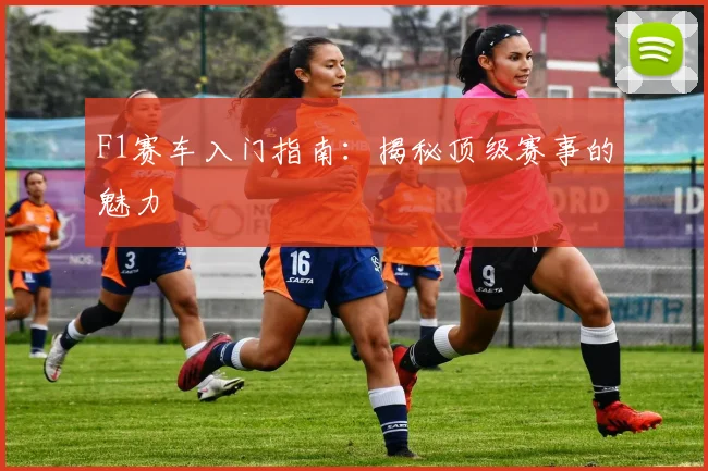 F1赛车入门指南：揭秘顶级赛事的魅力