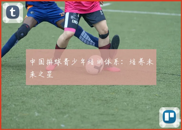 中国排球青少年培训体系：培养未来之星