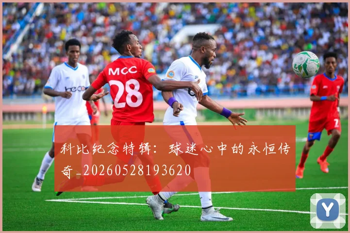 科比纪念特辑：球迷心中的永恒传奇_20260528193620